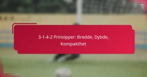 Read more about the article 3-1-4-2 Prinsipper: Bredde, Dybde, Kompakthet