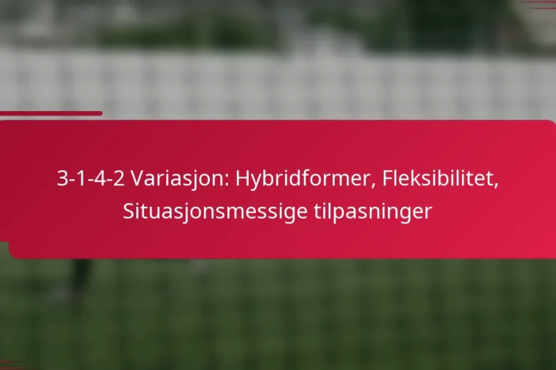 3-1-4-2 Variasjon: Hybridformer, Fleksibilitet, Situasjonsmessige tilpasninger