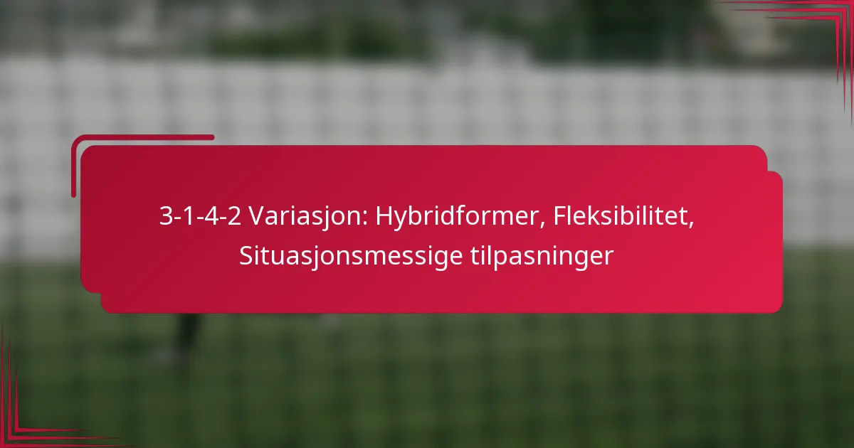 You are currently viewing 3-1-4-2 Variasjon: Hybridformer, Fleksibilitet, Situasjonsmessige tilpasninger