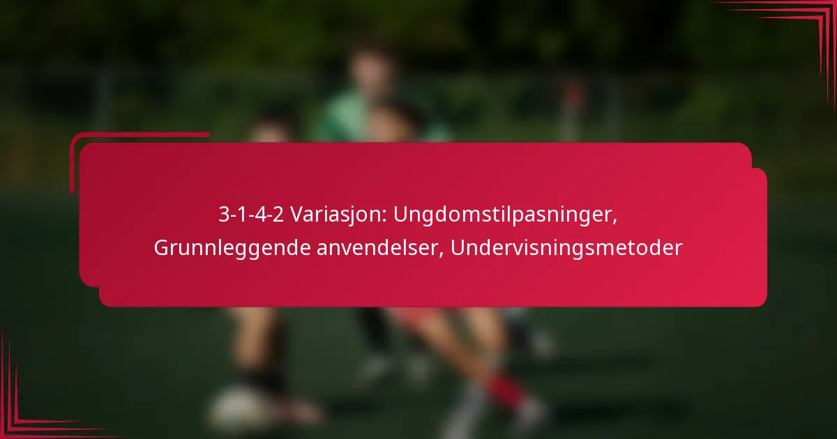 You are currently viewing 3-1-4-2 Variasjon: Ungdomstilpasninger, Grunnleggende anvendelser, Undervisningsmetoder