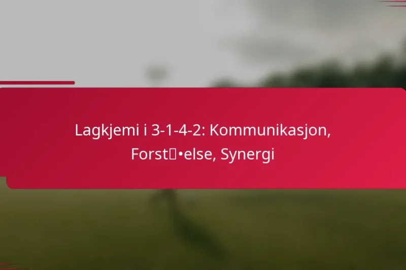 Lagkjemi i 3-1-4-2: Kommunikasjon, Forståelse, Synergi