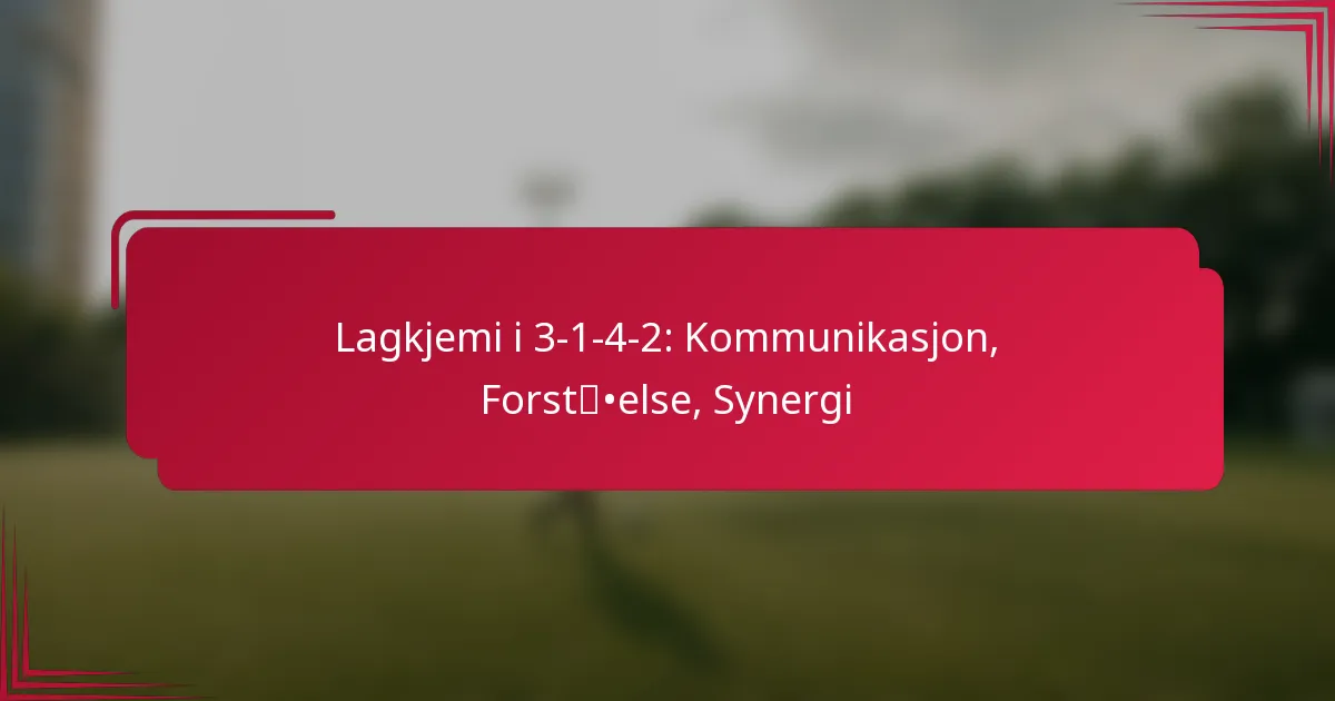 You are currently viewing Lagkjemi i 3-1-4-2: Kommunikasjon, Forståelse, Synergi