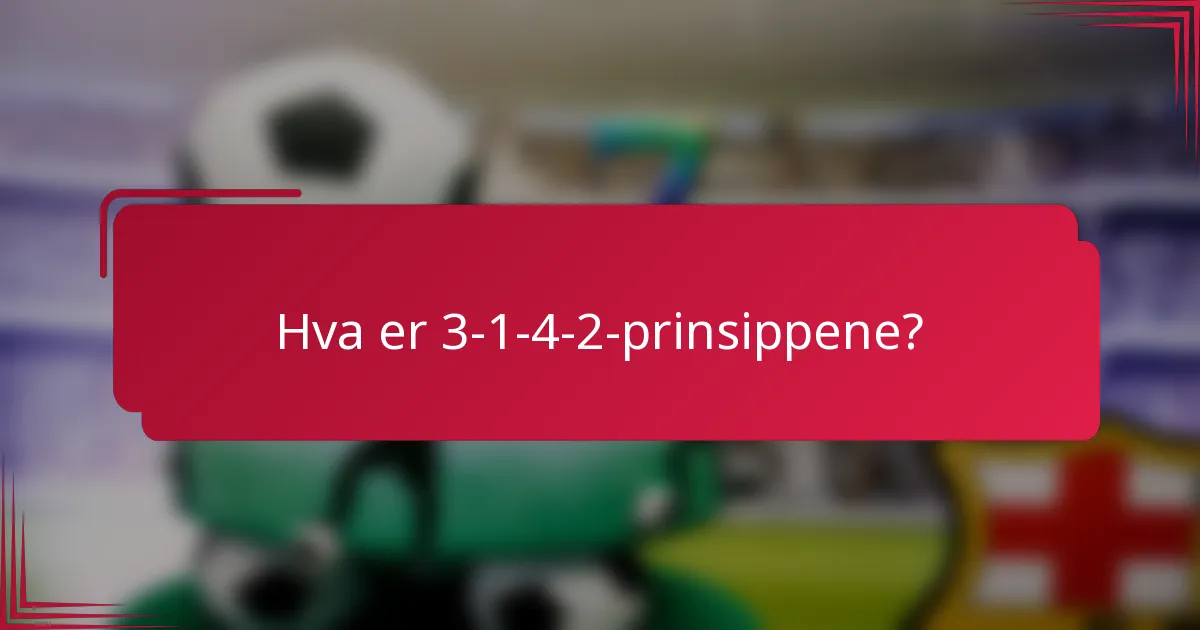 Hva er 3-1-4-2-prinsippene?