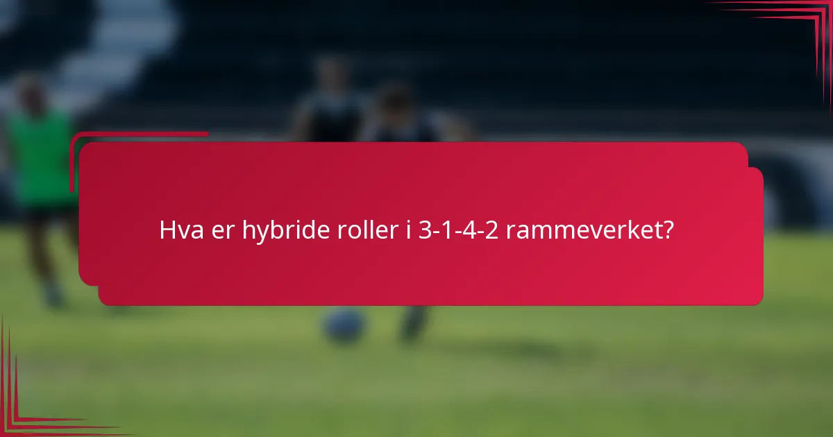 Hva er hybride roller i 3-1-4-2 rammeverket?