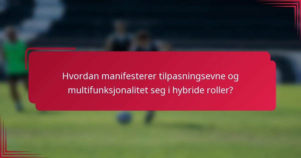 Hvordan manifesterer tilpasningsevne og multifunksjonalitet seg i hybride roller?